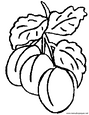Lamina para colorear Dibujos de Frutas. N&iacute;speros